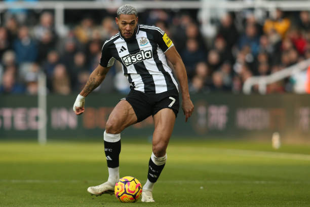 一个共同的 一个共同的