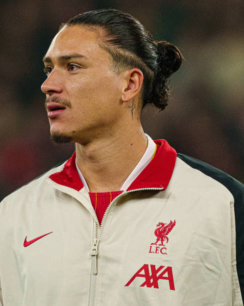 这不仅是鲁 这不仅是鲁