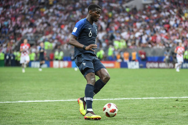 定制了全面 定制了全面